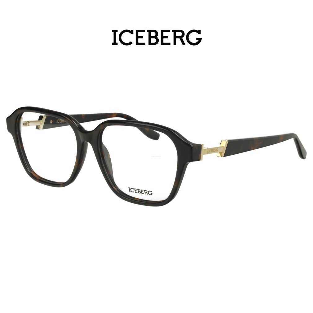 Iceberg IC312 V02 Okulary Korekcyjne