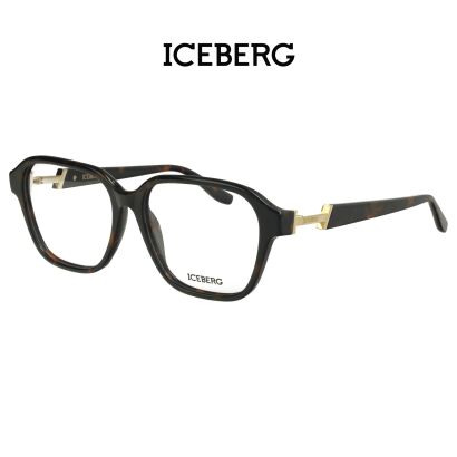 Iceberg IC312 V02 Okulary Korekcyjne